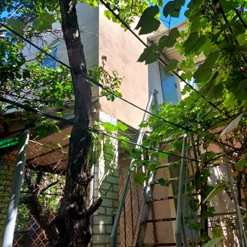 Абрикосова вул.