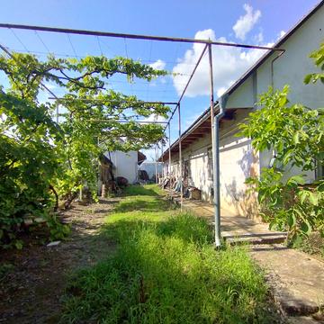 Василя Німчука вул. (Олекси Борканюка), 11