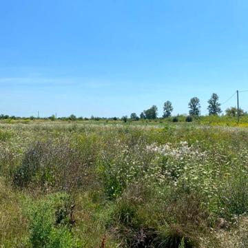 Радча, Івано-Франківський, Івано-Франківська область 12000.0 USD