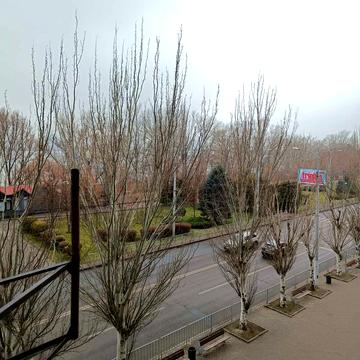 Сонячна Набережна вул. (Маршала Малиновського), 14