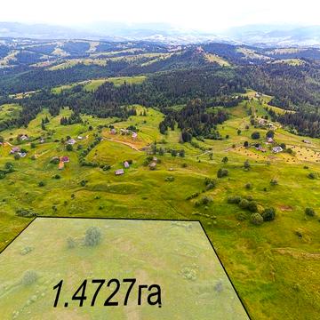 Урочище Діл