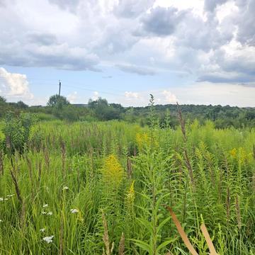 Сокільники, Львівський, Львівська область 46000.0 USD