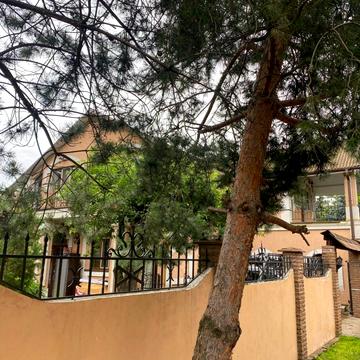 19-та Садова вул.