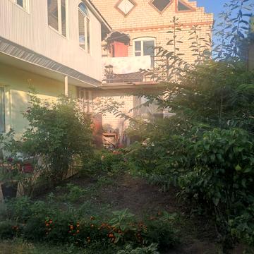 Василия Симоненко, 2