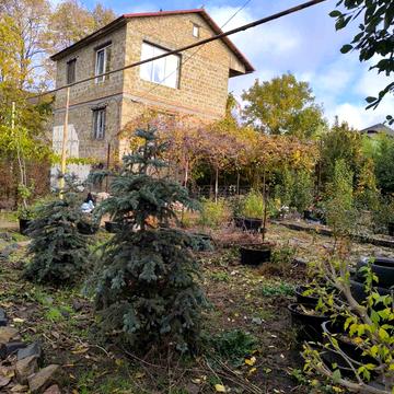 Абрикосова вул., 2