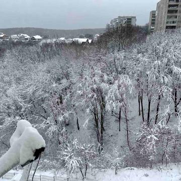 Лисеницька вул., 19-Б