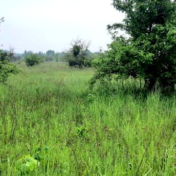 Шпитьки, Бучанський, Київська область 24999.0 USD