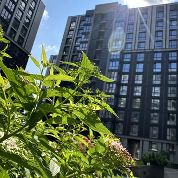 Первозванівська вул., 22-А