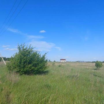 Паркова