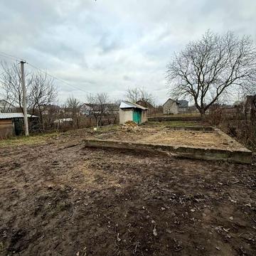 Івана Крипякевича