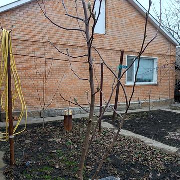 Олега Паршутіна вул.