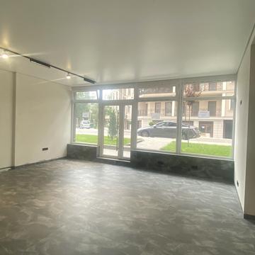 Дача Ковалевського вул., 91