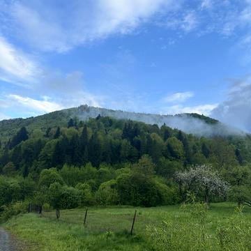 Коростів, Стрийський, Львівська область 10000.0 USD