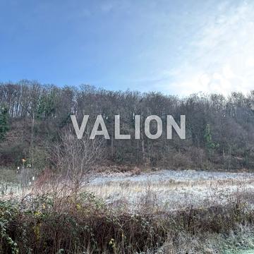 Виноградна