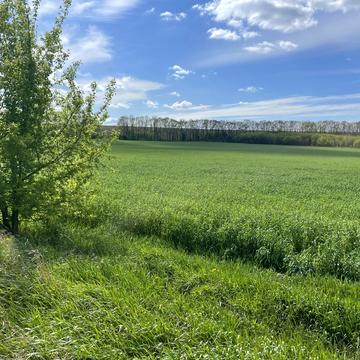 Княжичі, Фастівський, Київська область 180000.0 USD