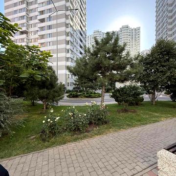 Березова вул., 9 секция