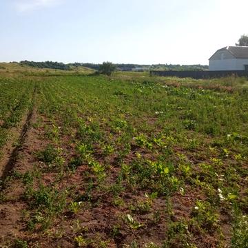 Вороців, Яворівський, Львівська область 21000.0 USD