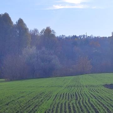 провулок Пііденний