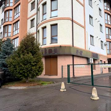 Вячеслава Чорновола вул., 91г