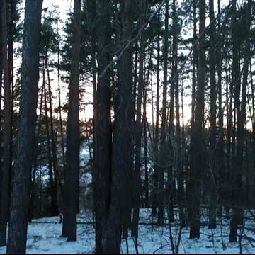 Чорновола, 11