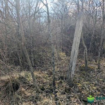 Тязів, Івано-Франківський, Івано-Франківська область 4000.0 USD