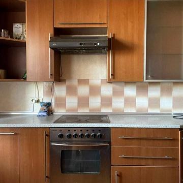 Сергія Шелухіна вул. (Олександра Невського), 57