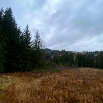 Яблуниця, Надвірнянський, Івано-Франківська область 230000.0 USD