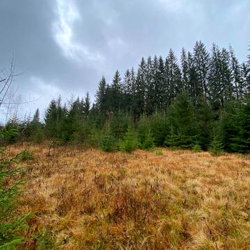 Яблуниця, Надвірнянський, Івано-Франківська область 1200.0 USD