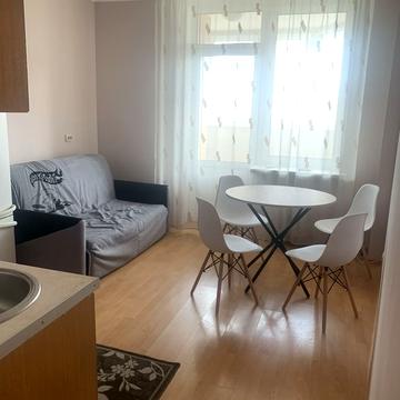 Олени Пчілки вул., 2