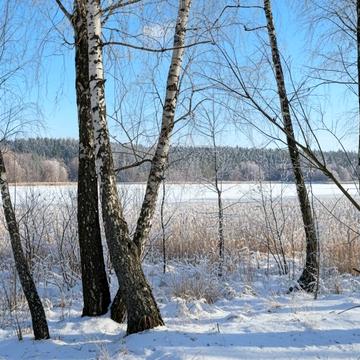 Забіря, Фастівський, Київська область 220000.0 USD