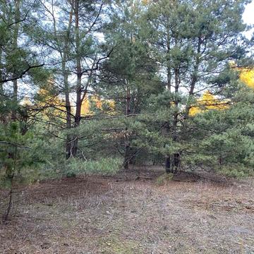 Тубільці, Черкаський, Черкаська область 10500.0 USD