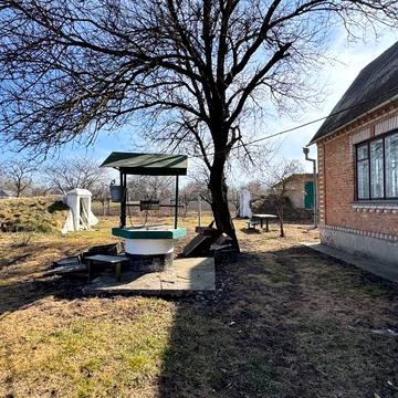 центральна