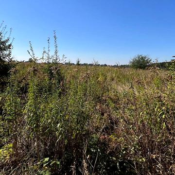 Якушинці, Вінницький, Вінницька область 20000.0 USD