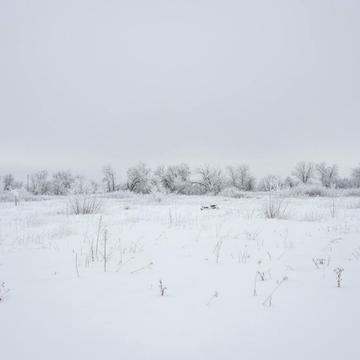 Гостомель, Бучанський, Київська область 3000.0 USD