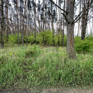 Раківка, Бучанський, Київська область 8500.0 USD