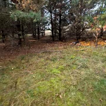 Малютянка, Фастівський, Київська область 34500.0 USD