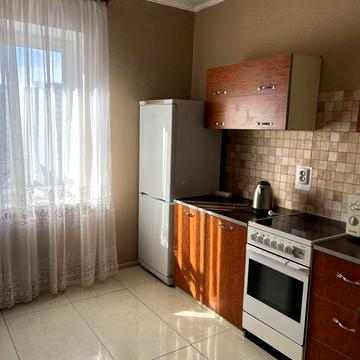 Олени Пчілки вул., 2