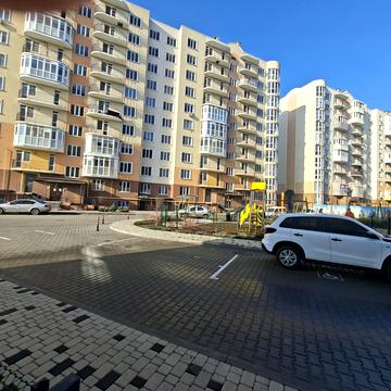 Семена Палія вул., 22