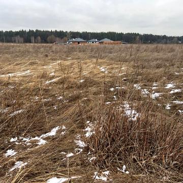 Наталії Ужвіст, 42