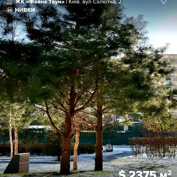 Салютна вул., 2