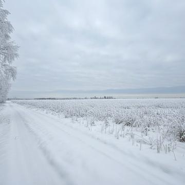 Михайлівка-Рубежівка, Бучанський, Київська область 16000.0 USD