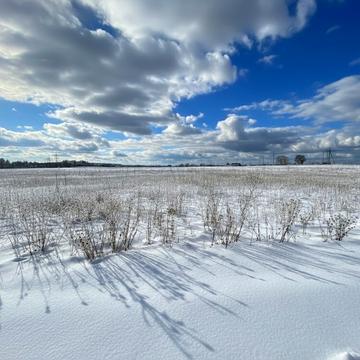 Михайлівка-Рубежівка, Бучанський, Київська область 16000.0 USD