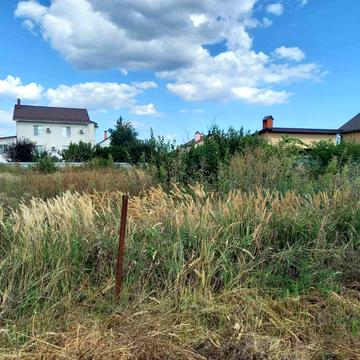 Абрикосова вул.