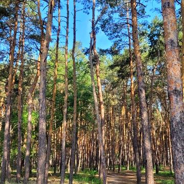 Плюти, Обухівський, Київська область 6000000.0 USD