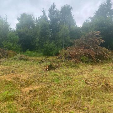 Липники, Львівський, Львівська область 30000.0 USD