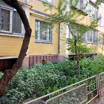 Рональда Рейгана вул., 11-А