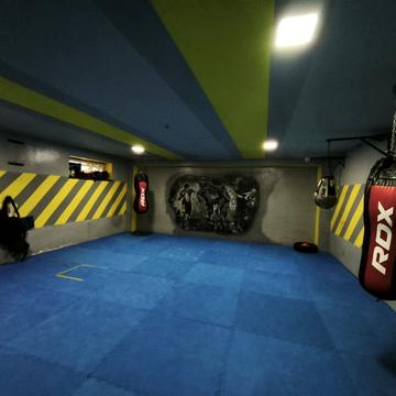 Петра Лінтура вул., 10