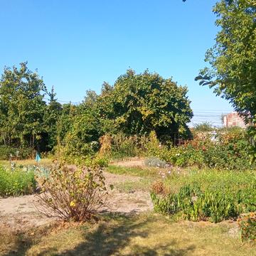 Проців, Бориспільський, Київська область 360000.0 USD