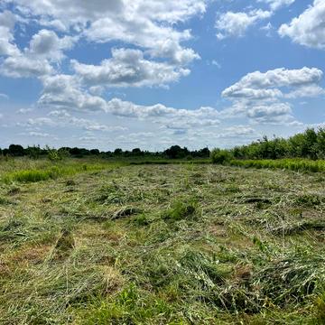 Давидів, Львівський, Львівська область 25000.0 USD