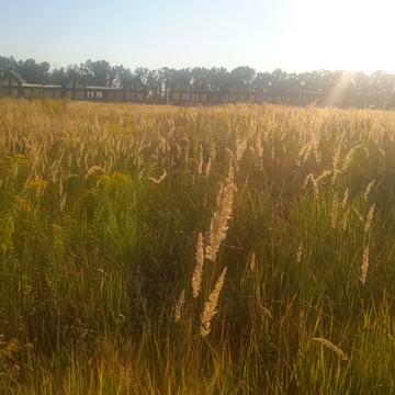 Гнідин, Бориспільський, Київська область 297000.0 USD